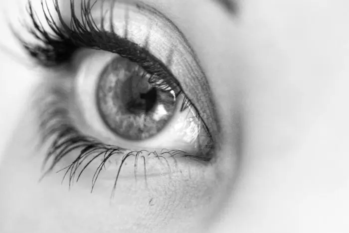 cils pour yeux en amande