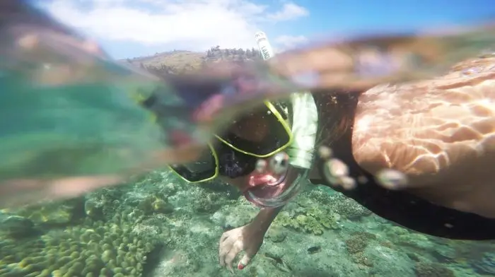 Critères d'Achat pour Lunettes de Natation avec Protection du Nez