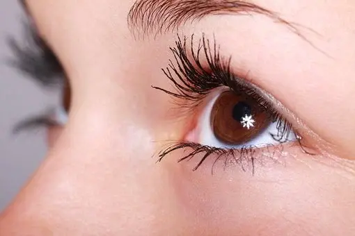 Techniques pour Cils en M Curl