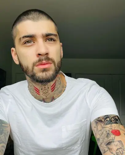 yeux de zayn malik
