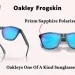 avis sur les Oakley Frogskin originales