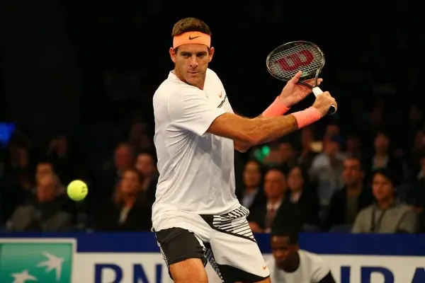 Juan Martin del Potro