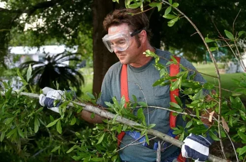 Porter des lunettes pendant les travaux de jardinage