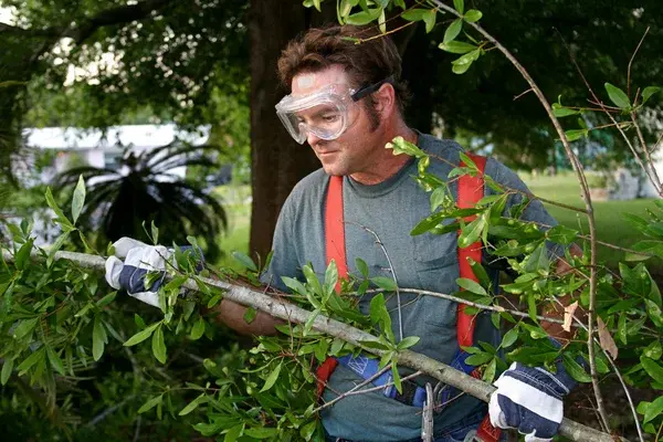 Porter des lunettes pendant les travaux de jardinage
